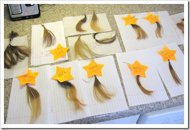 high lift blond achieving lightest blond zero bleach hair bleach level chart
